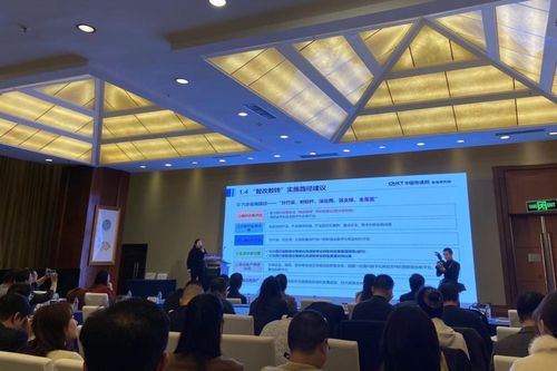 成都28家企業(yè)入選四川省軟件和信息技術(shù)服務(wù)業(yè)競爭力Top30，引領(lǐng)信息技術(shù)咨詢服務(wù)發(fā)展